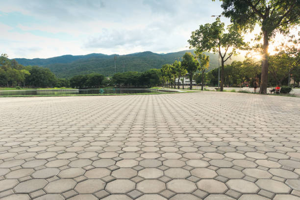 Best Commercial Driveway Pavers  in Tallapoosa, GA